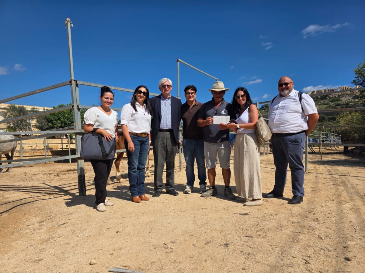 Supporting Dreams of Horses: Empowering Lives Through Equine Therapy